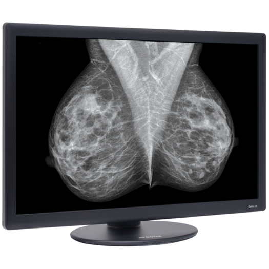 10MP Dome S10 Monochrome Radiology Display with Quadro 2000D