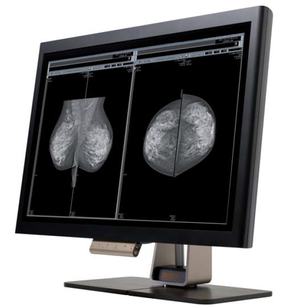 Canvys Grayscale WIDE MW100 LCD Display